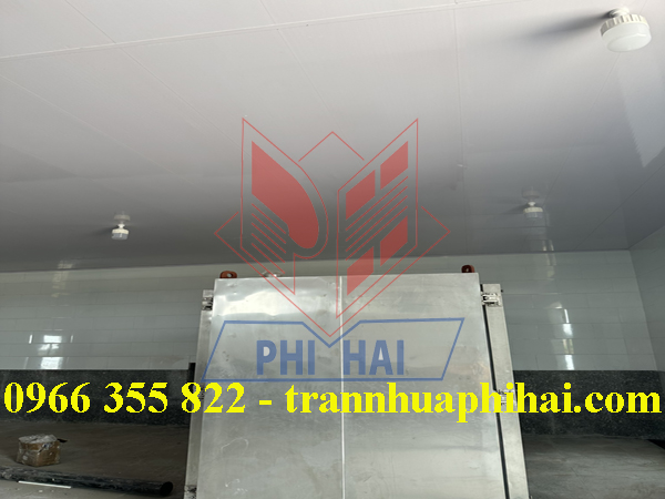 trần nhựa khu cấp đông