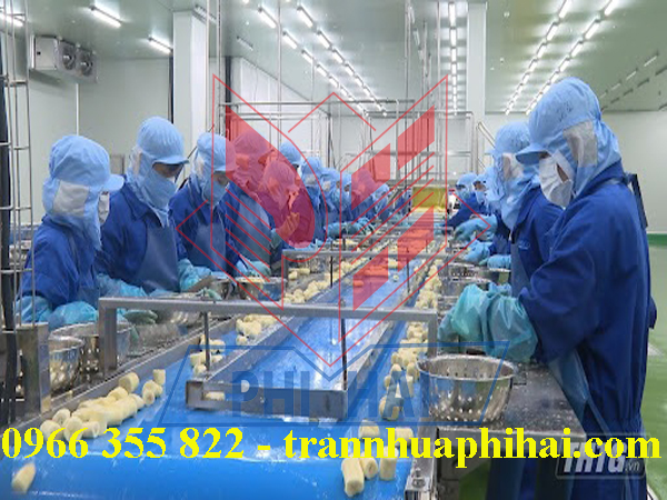 trần nhựa nhà máy chế biến chuối