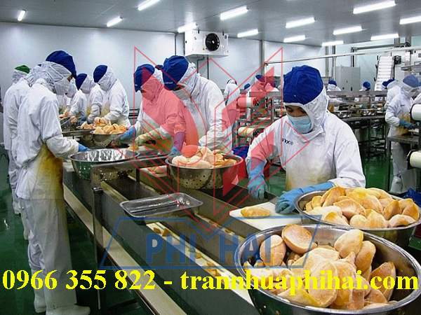 trần nhựa nhà máy chế biến dừa trái