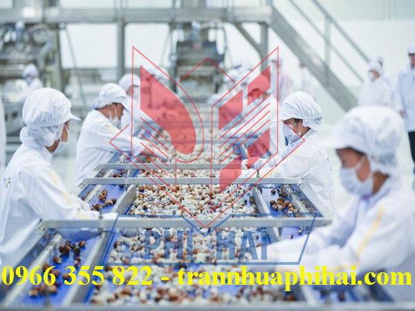 trần nhựa nhà máy chế biến hoa quả tươi