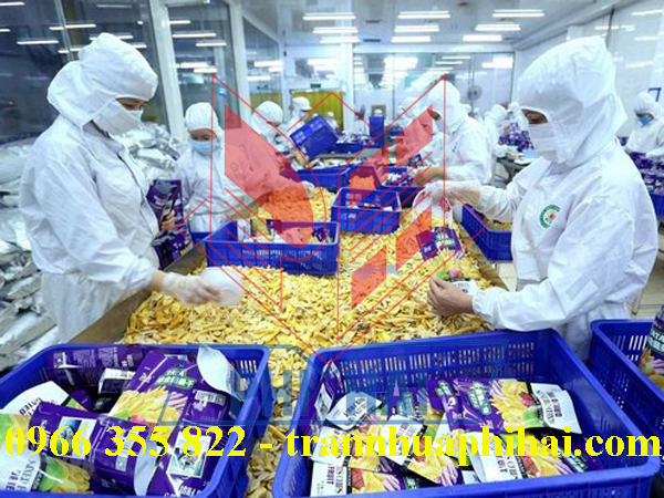 trần nhựa nhà máy chế biến mít sấy