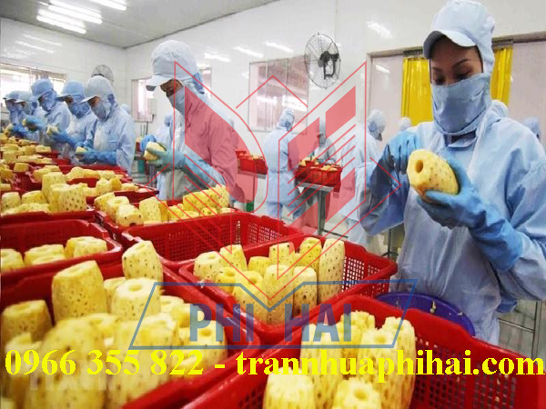 trần nhựa nhà máy chế biến nông sản