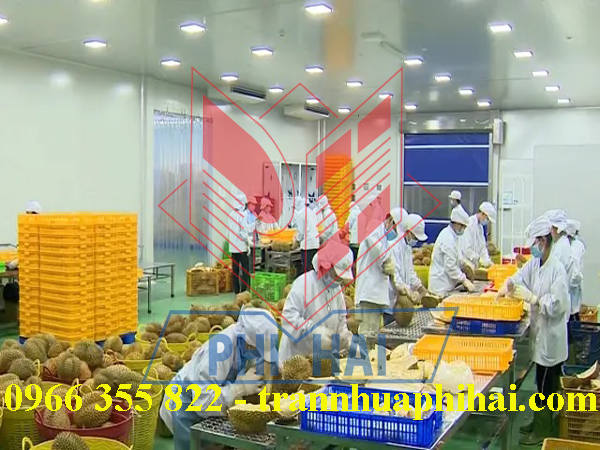 trần nhựa nhà máy chế biến sầu riêng